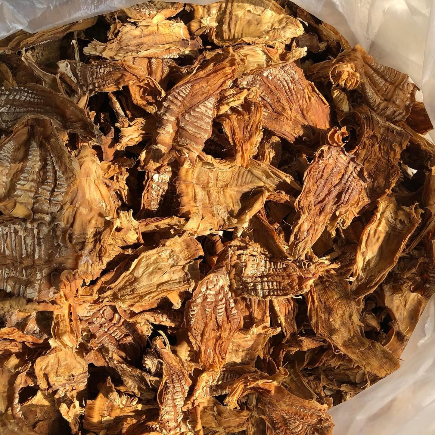 Măng nứa đọt non đặc biệt