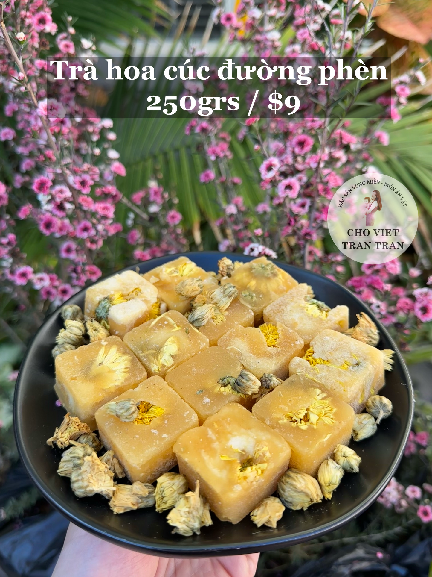 Trà hoa cúc đường phèn