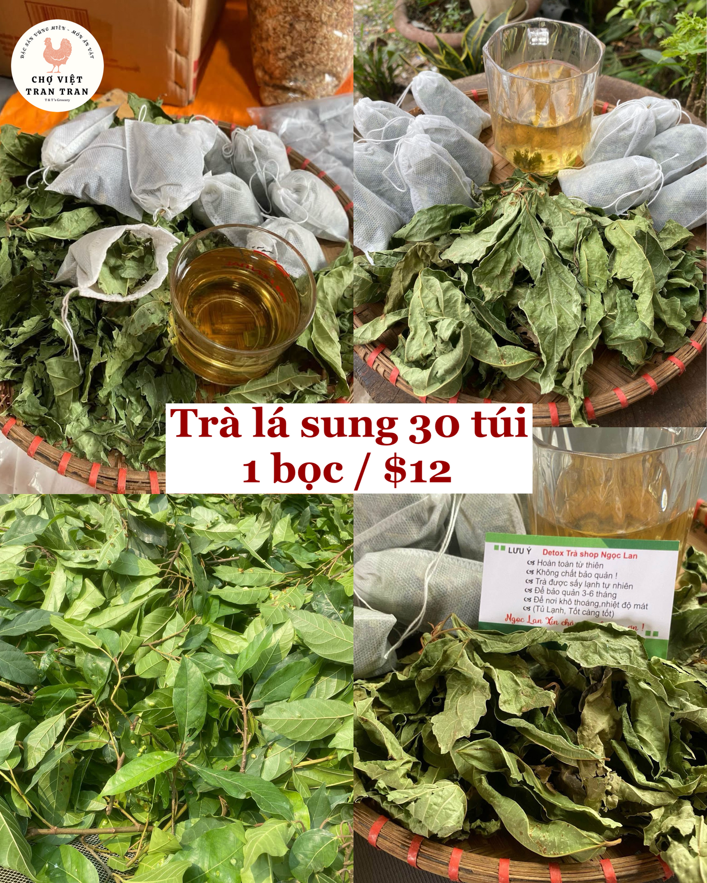 Trà lá sung túi lọc