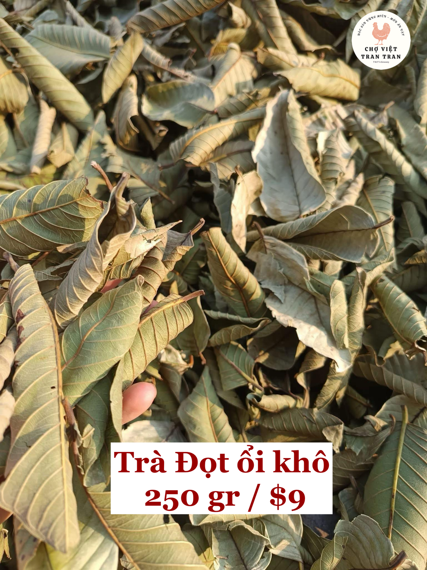 Trà đọt ổi khô