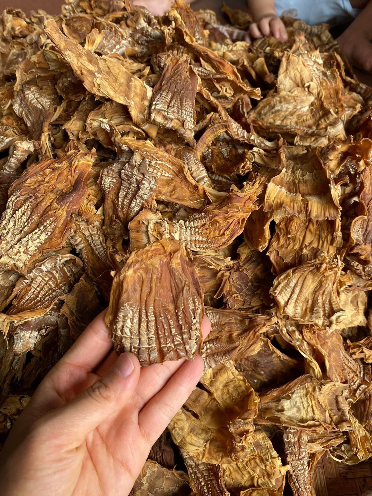 Măng nứa đọt non đặc biệt