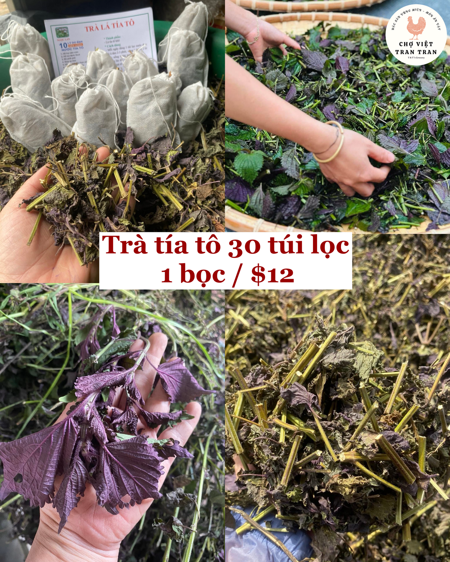 Trà tía tô túi lọc