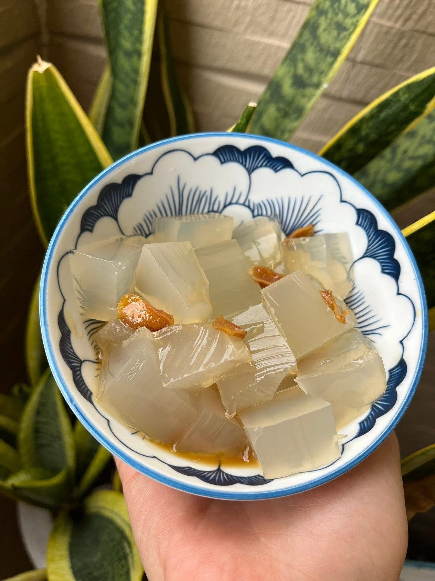 Rong chỉ vàng nấu xu xoa