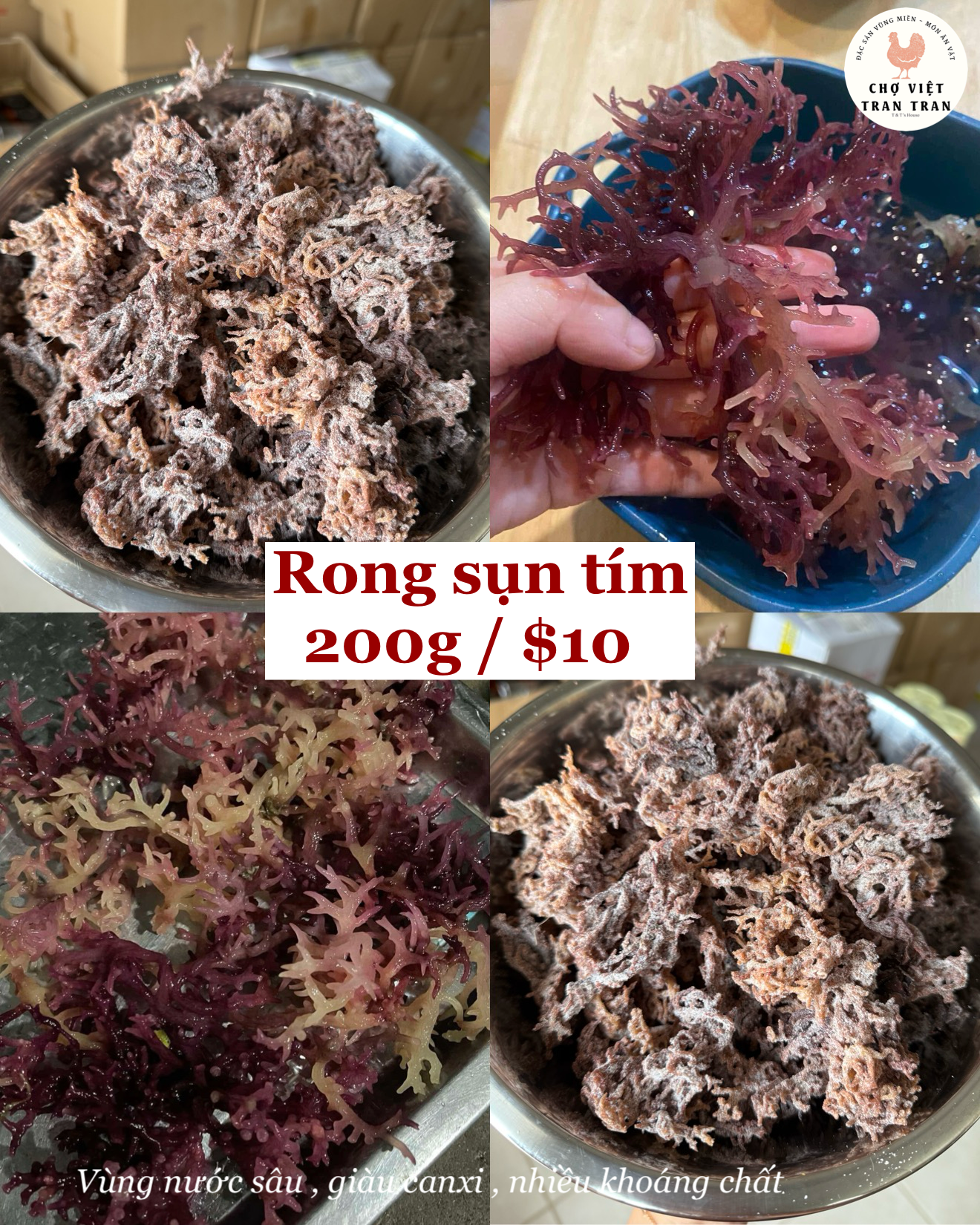 Rong sụn tím