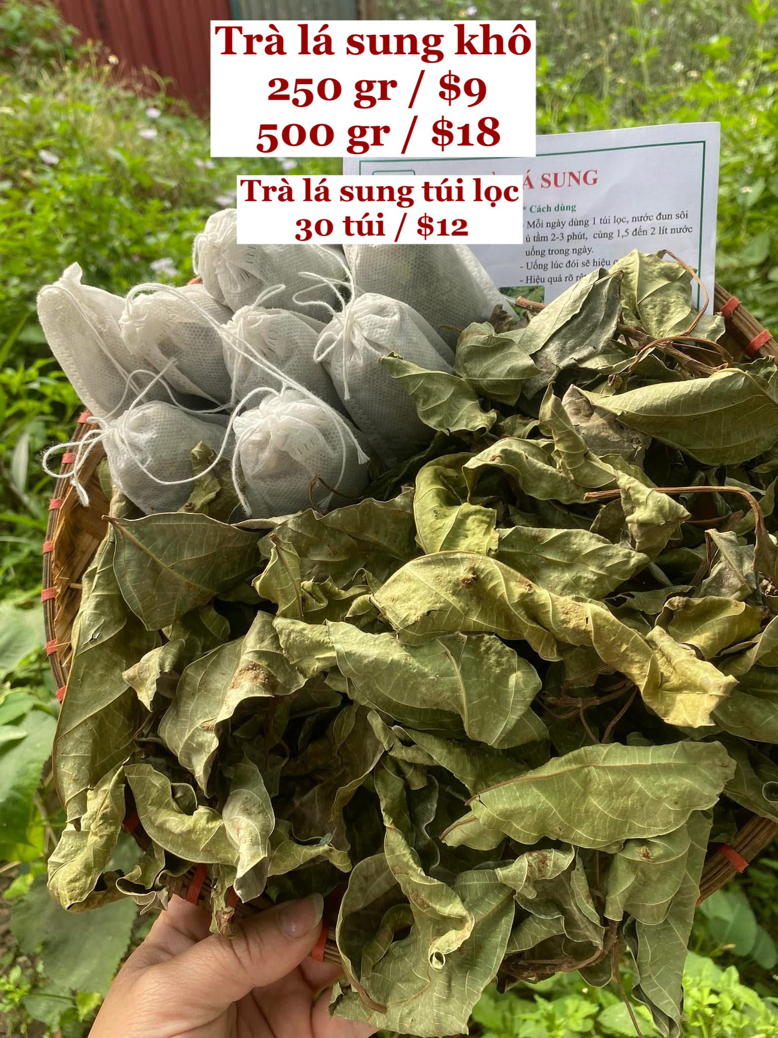 Trà lá sung khô