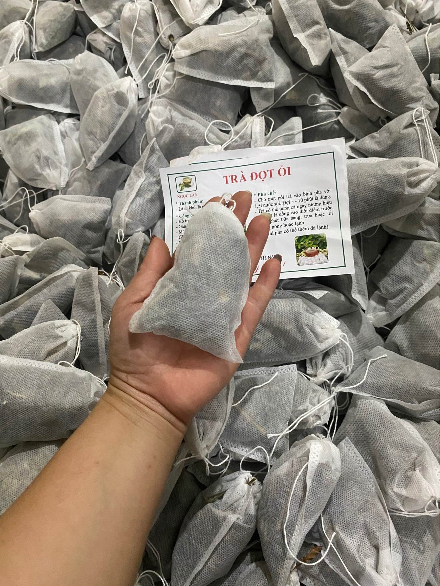 Trà lá ổi túi lọc