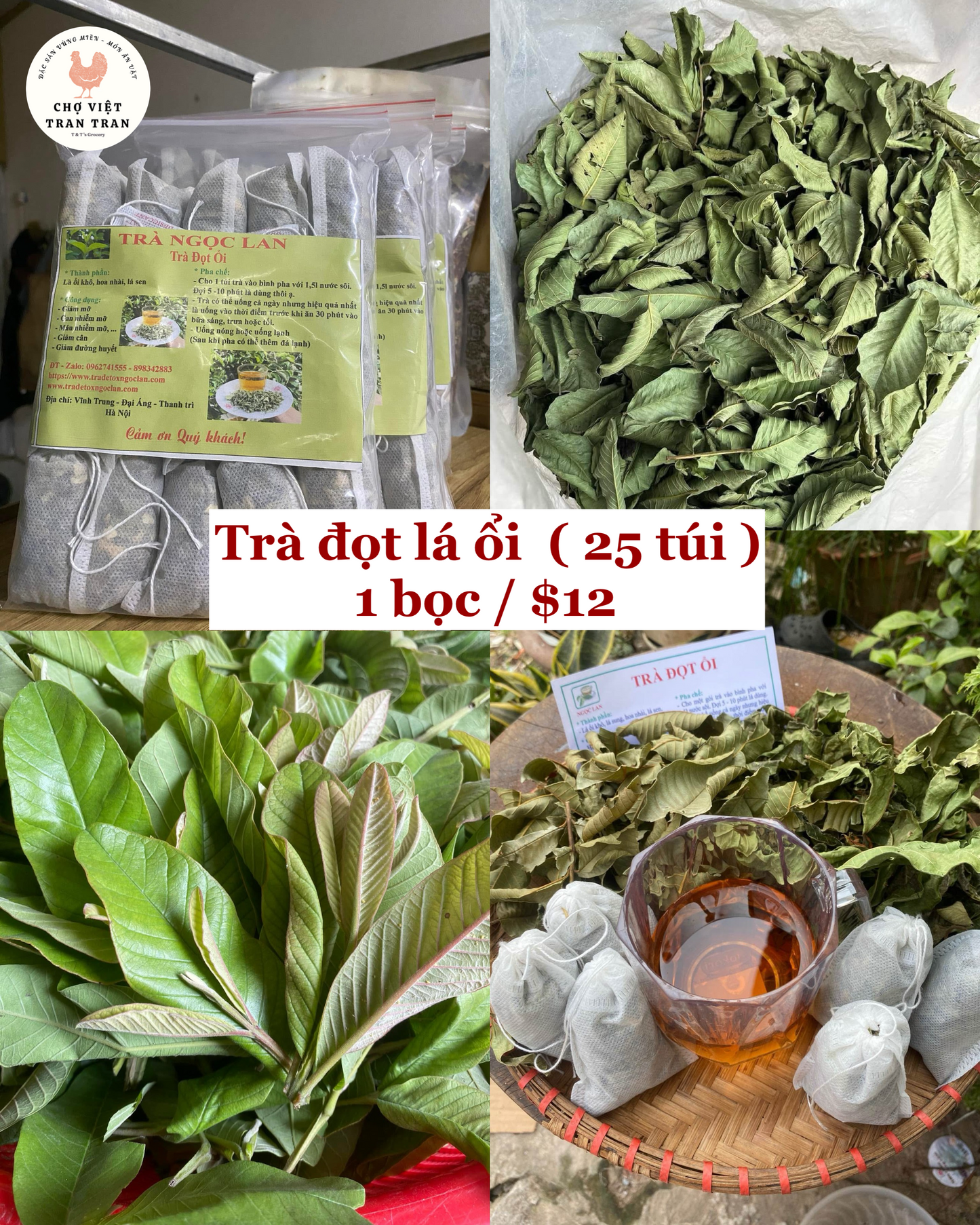 Trà lá ổi túi lọc