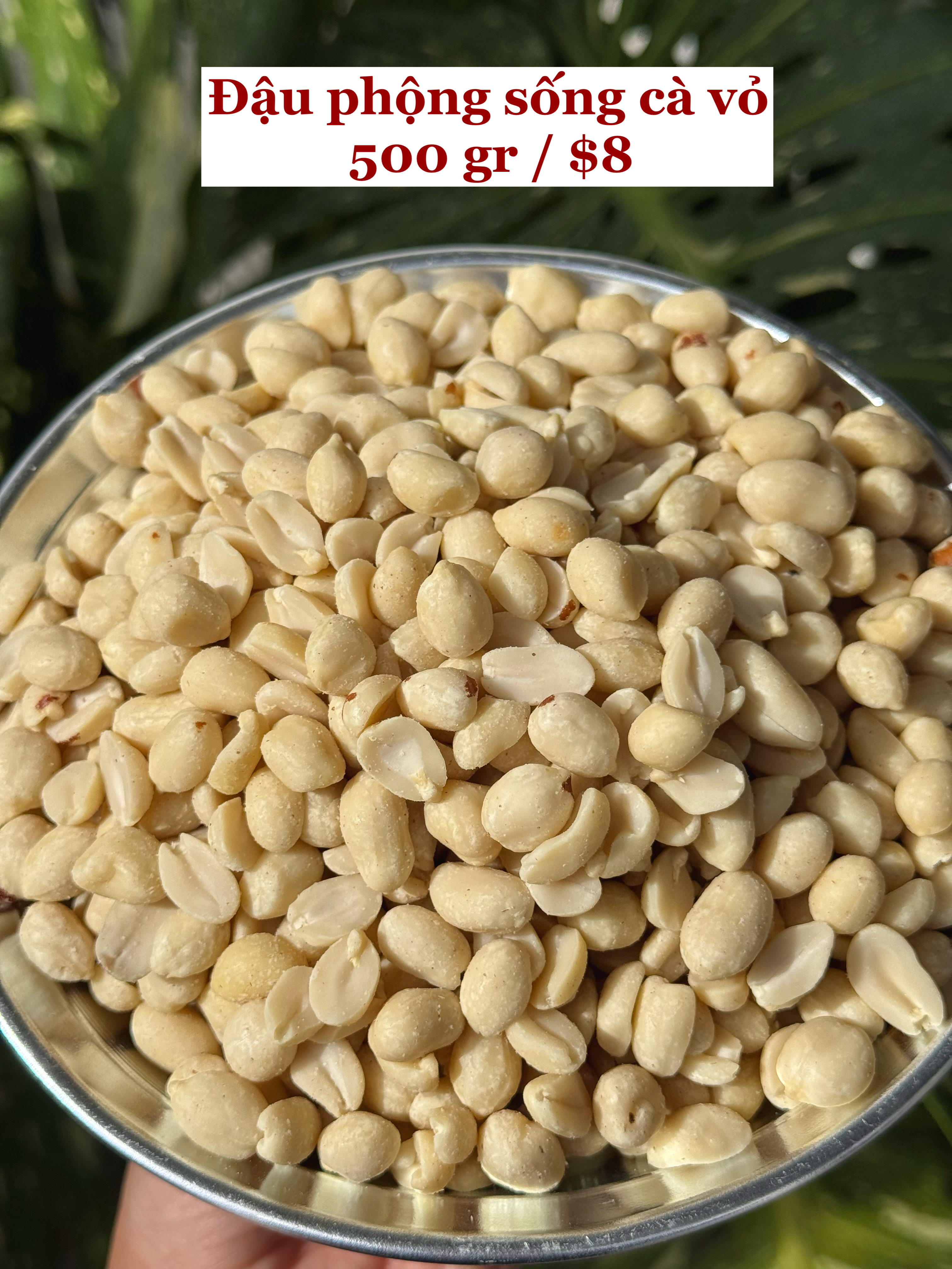 Đậu phộng sống cà vỏ
