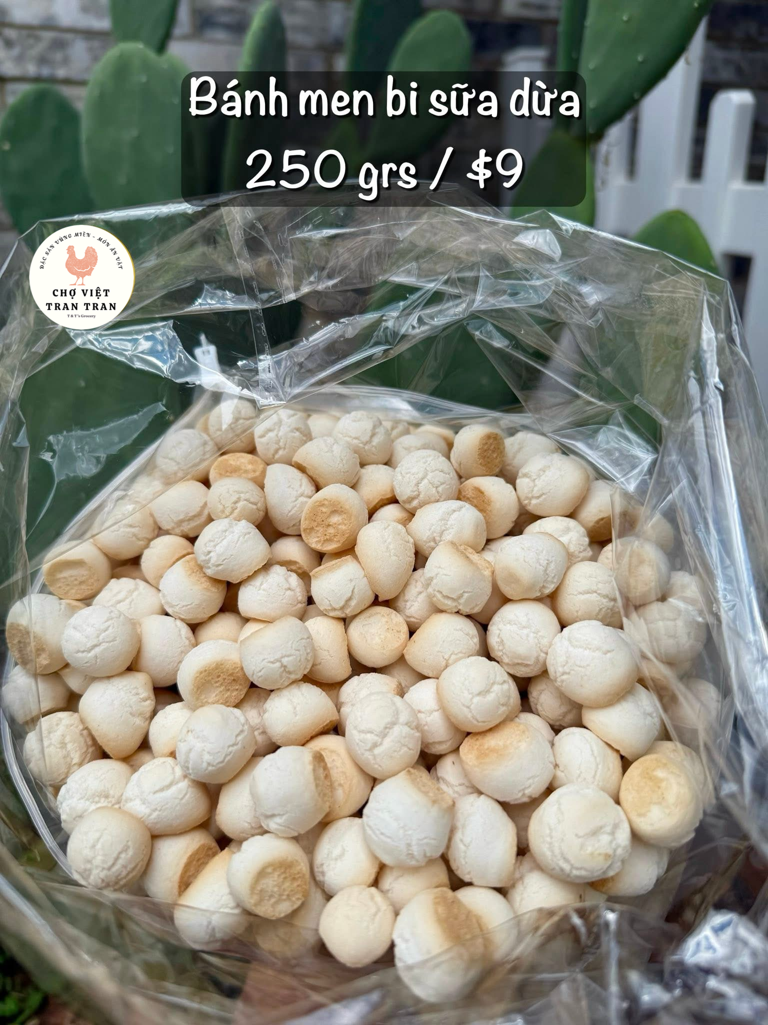 Bánh men bi sữa dừa