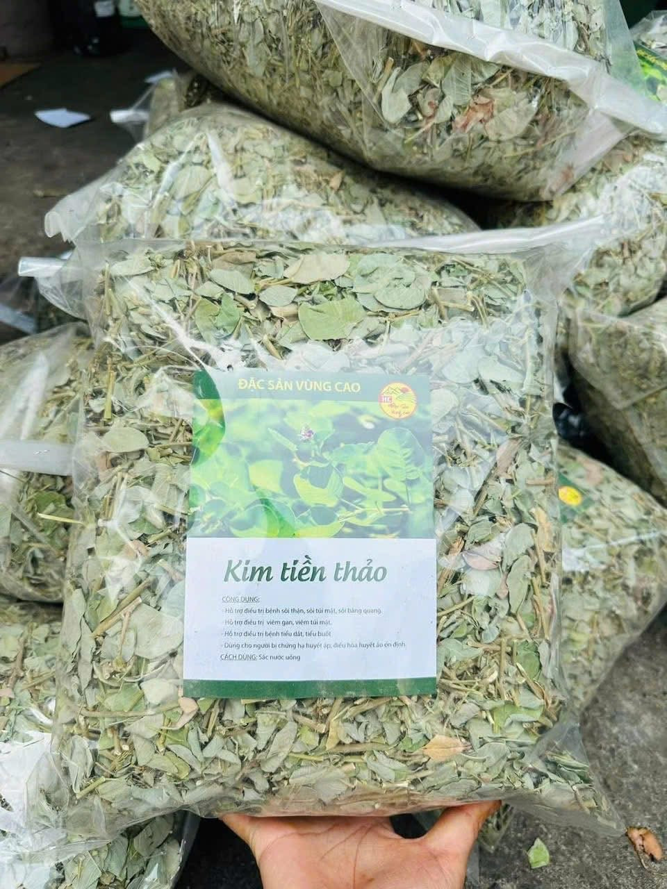 Kim tiền thảo