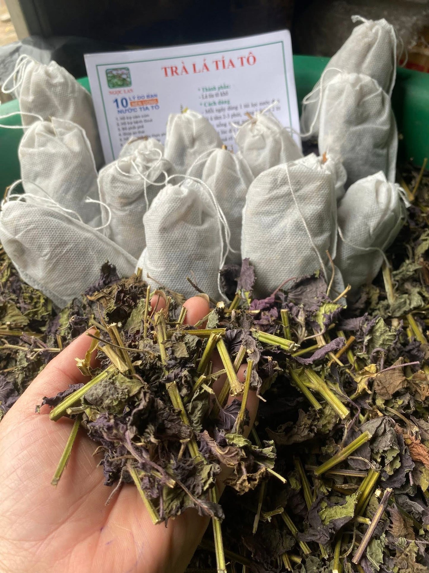 Trà tía tô túi lọc