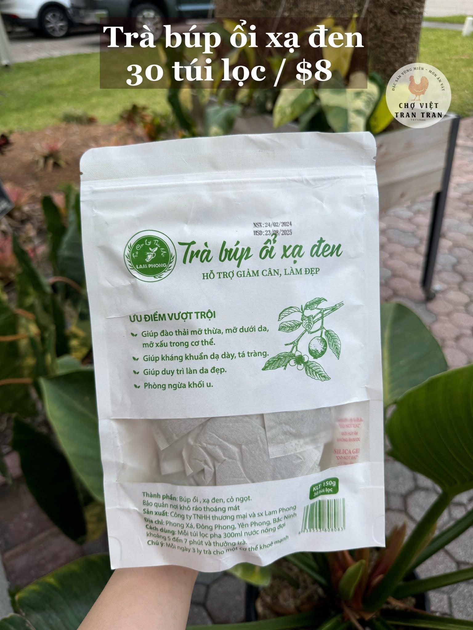 Trà búp ổi xạ đen