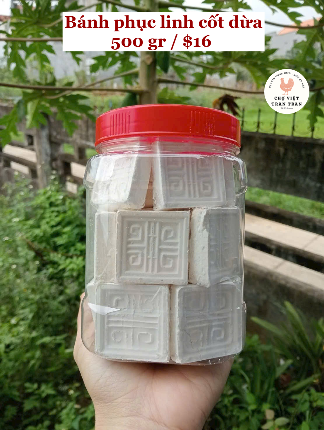 Bánh phục linh cốt dừa