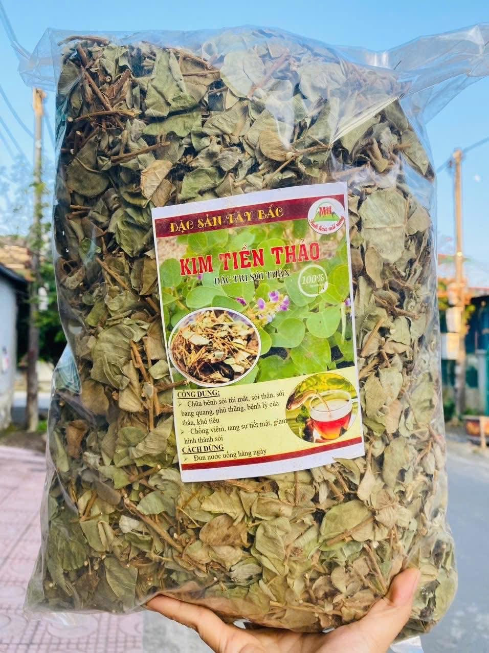 Kim tiền thảo