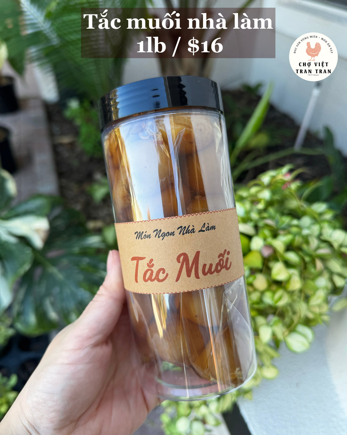 Tắc muối