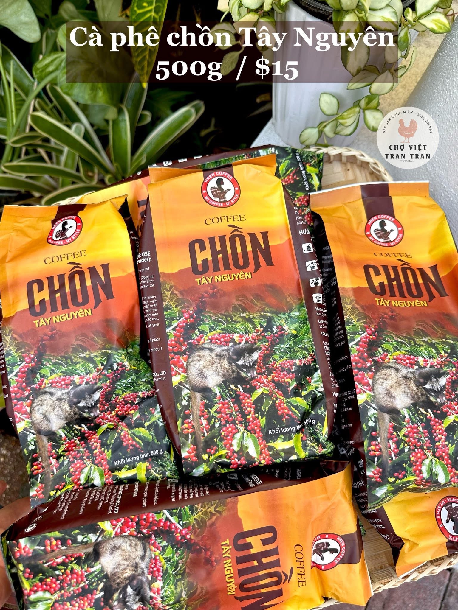 Cà Phê Chồn Tây Nguyên