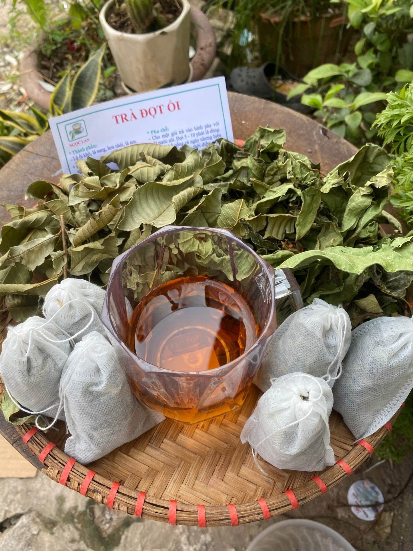 Trà lá ổi túi lọc
