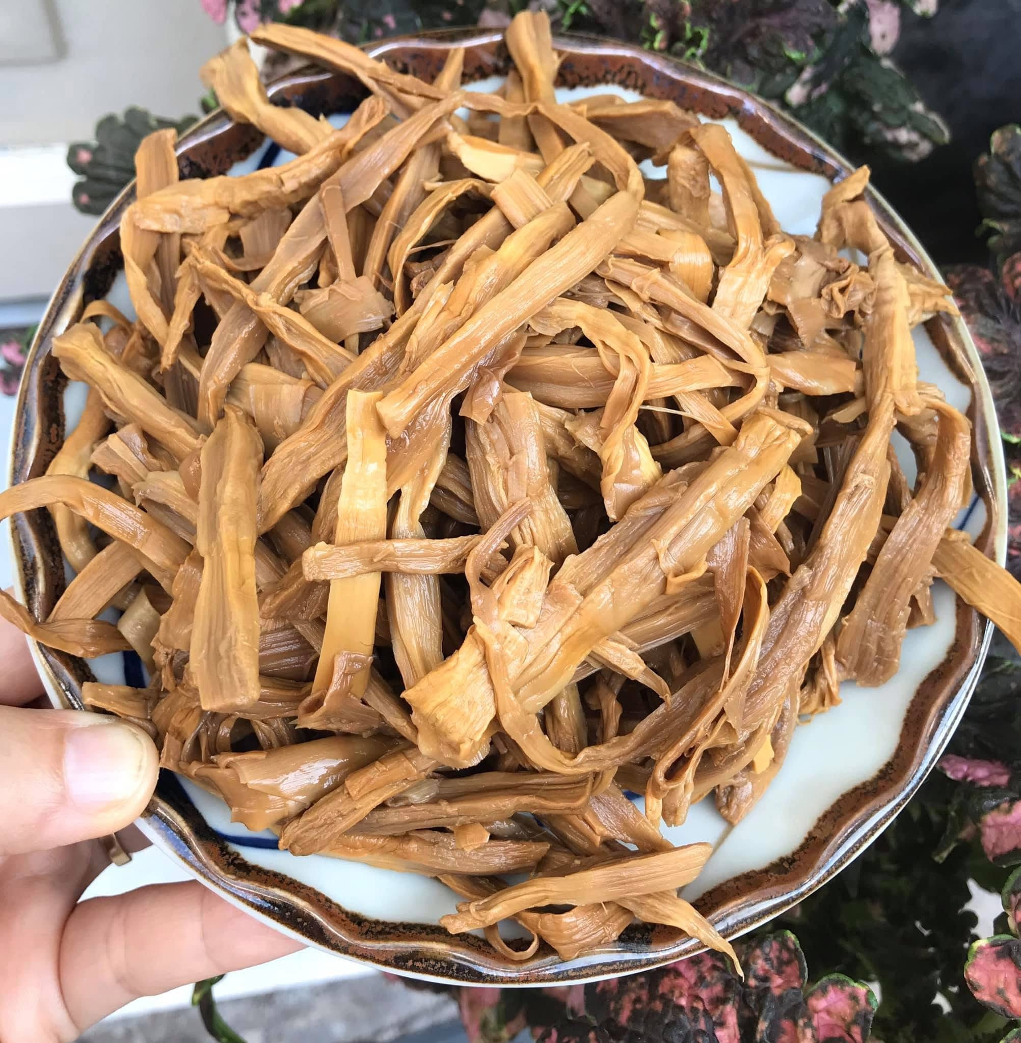 Măng le rừng Daklak